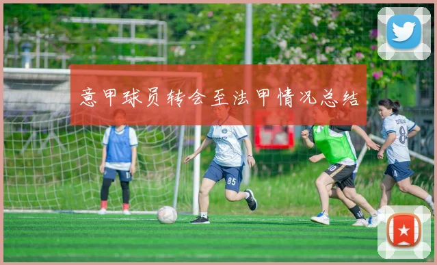 意甲球员转会至法甲情况总结