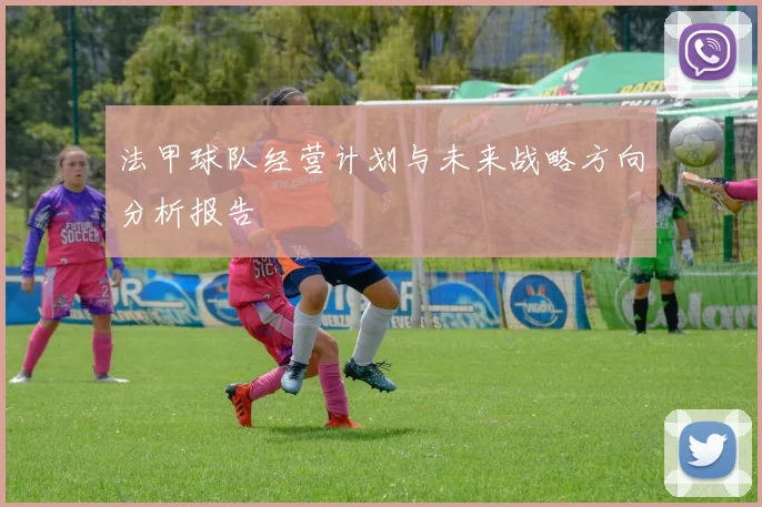 法甲球队经营计划与未来战略方向分析报告